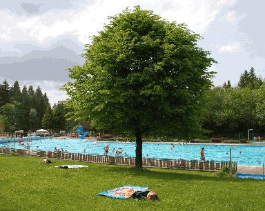 Waldfreibad Häusern-Höchenschwand